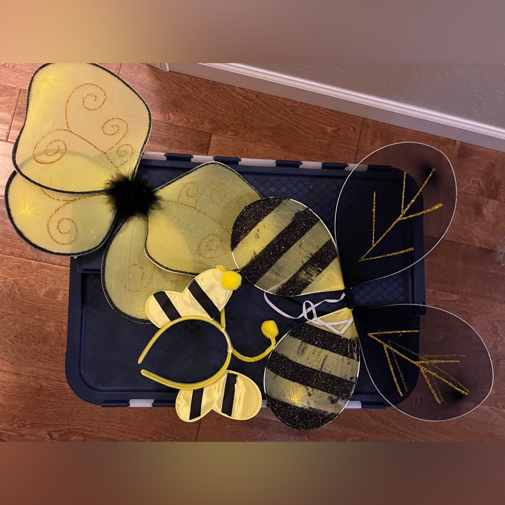 Yellow and Black Bee Costume Set